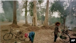 Warga desa yang tinggal di sekitar kawasan hutan di Kamboja yang jadi sasaran pembalakan liar (foto: dok).