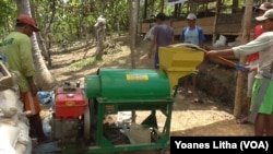 Petani Poso belajar pupuk organik (Foto: VOA/Yoanes Litha)