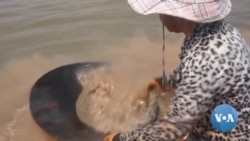 Mekong Dams Bring Hardship to Thai Villagers 