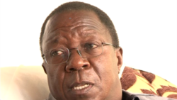 Murisanga