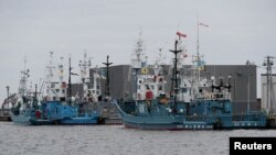 Whaling ships which are set to join the resumption of commercial whaling at anchor at a port in Kushiro, Hokkaido Prefecture, Japan, June 30, 2019. (Reuters)