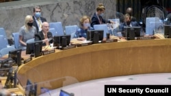 UN Security Council 