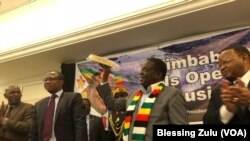 VaEmmerson Mnangagwa 