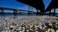 FILE - Dead fish are pictured on the banks of Guanabara Bay in Rio de Janeiro, Feb. 24, 2015.