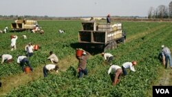 Atravesar las fronteras hasta llegar a Estados Unidos no sólo es costoso, sino cada vez más peligroso para los centroamericanos.