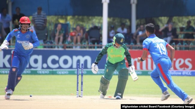 شفیق غفاری پس از حذف بازیکن تیم افریقای جنوبی