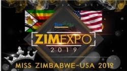 Zimbabweans In The U.S. Meet For Annual Business Expo in Chicago