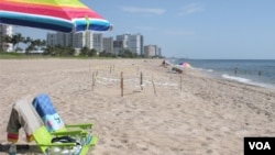 Los veraneantes respetan las áreas donde se encuentran los nidos de tortugas marinas en las playas del sur de la Florida.