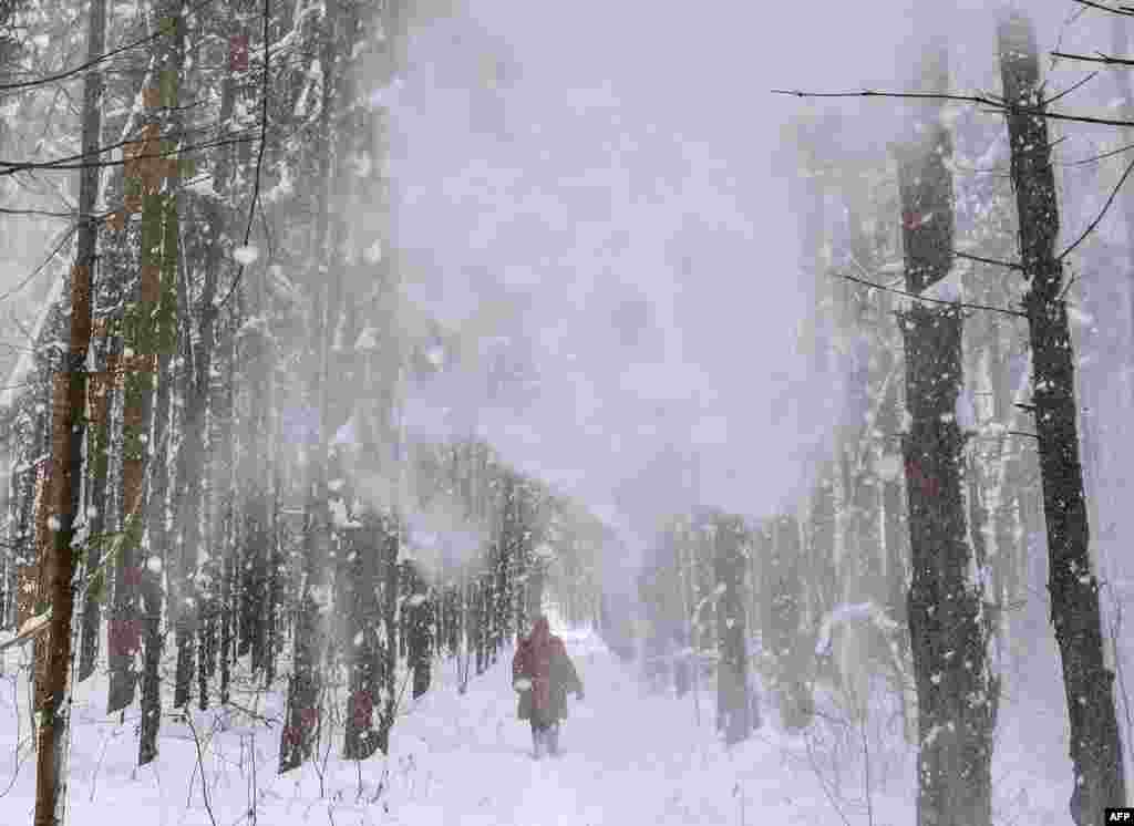 A woman walks along a forest path as snow falls near the village of Lyubuchany, outside Moscow, Russia.