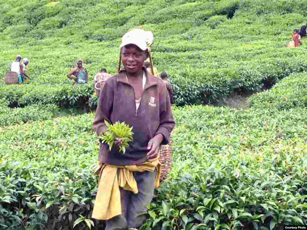 Rwanda Child Labor