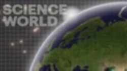 Science World