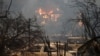 加州野火焚毁1500座建筑