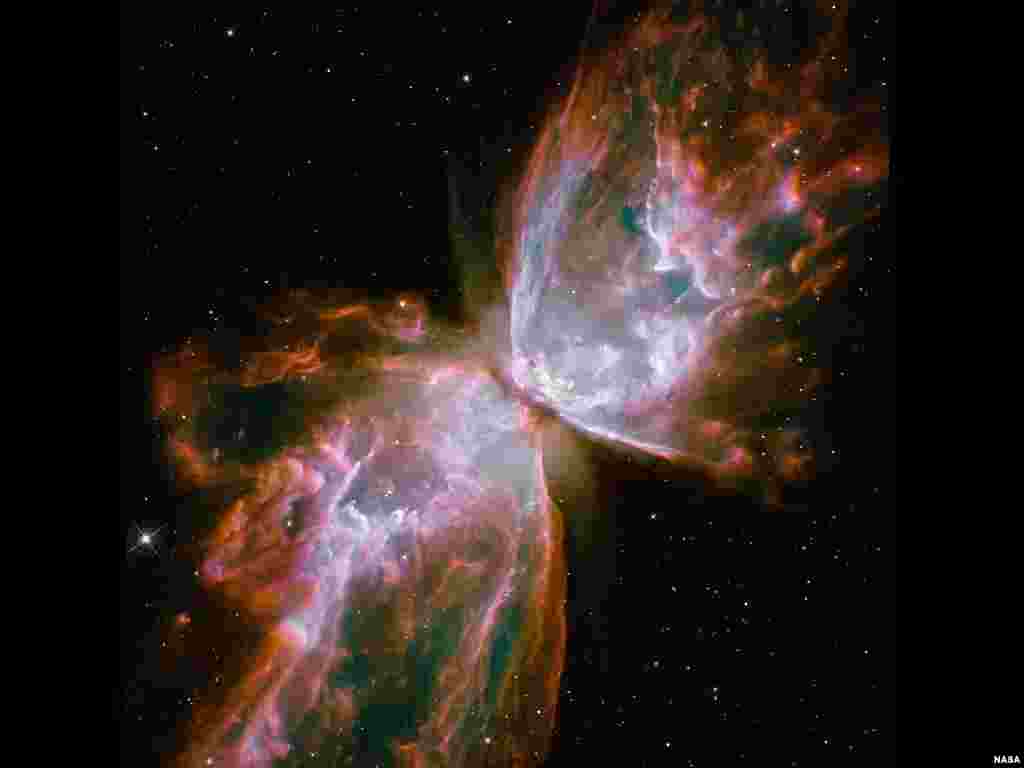 The bright clusters and nebulae of planet Earth&#39;s night sky are often named for flowers or insects. Though its wingspan covers over 3 light years, NGC 6302 is no exception. With an estimated surface temperature of about 250,000 degrees C, the dying central star of this particular planetary nebula has become exceptionally hot, shining brightly in ultraviolet light but hidden from direct view by a dense torus of dust. (NASA/ESA/Hubble)