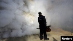 A municipal worker carries out fumigation to help control the spread of the mosquito-borne Zika virus in Caracas, Venezuela, Jan. 28, 2016. 