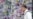 Asia Increasingly Looking to China to Drive Regional Growth