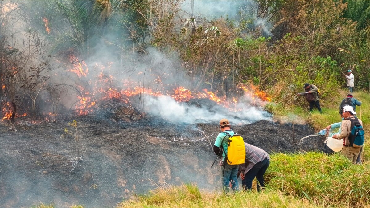 Varias Zonas En Bolivia En Emergencia Por El Avance De Los Incendios ...