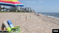 Los veraneantes respetan las áreas donde se encuentran los nidos de tortugas marinas en las playas del sur de la Florida.