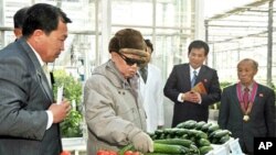 North Korean leader Kim Jong-Il inspecting the Pyongyang Vegetable Science Institute in Pyongyang, March 4, 2011