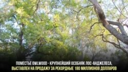 Дом за 180 миллионов долларов