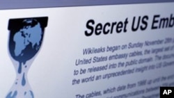 The Internet homepage of Wikileaks