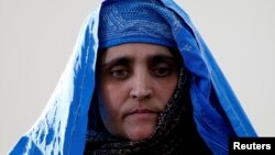 ফাইল ছবিতে ন্যাশনাল জিওগ্রাফিক চ্যানেলের সেই সবুজ চোখের 'আফগান গার্ল' খ্যাত শরবত গুলাকে দেখা যাচ্ছে। নভেম্বর ০৬, ২০১৬।