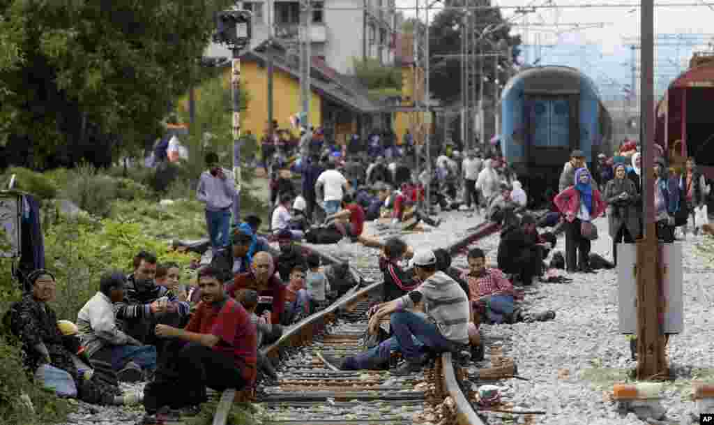 Macedonia Migrants