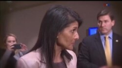 اخبار شامگاهی