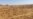 Zimbabwe Farmers Get High-nutrient Seeds to Aid Recovery from Drought