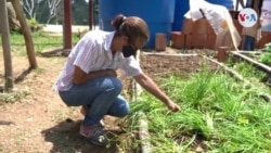Venezolanas trabajan la tierra para llevar alimentos a su hogar