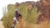 Le motard italien Fabrizio Meoni négocie un passage près de la roche percée, le 10 janvier 2002, (Mauritanie).