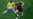 Germany Jumps to 5-0 Lead Over Brazil in World Cup Semifinal