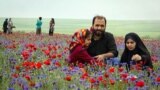  یک خانواده در طبیعت بهاری اردبیل عکس: محسن زارع، تسنیم 