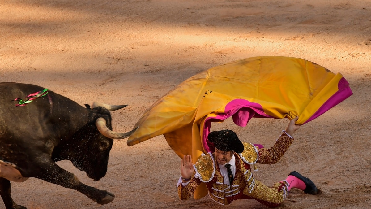 Covid Threatens Spains Centuries Old Bullfighting Tradition