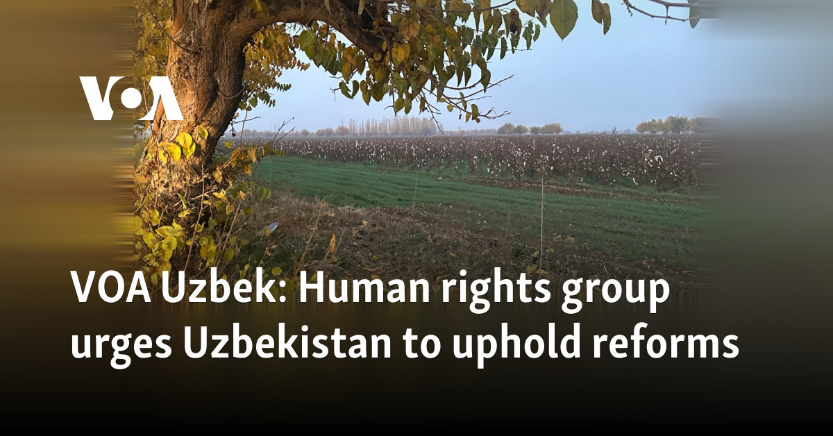 VOA Uzbek: Human rights group urges Uzbekistan to uphold reforms