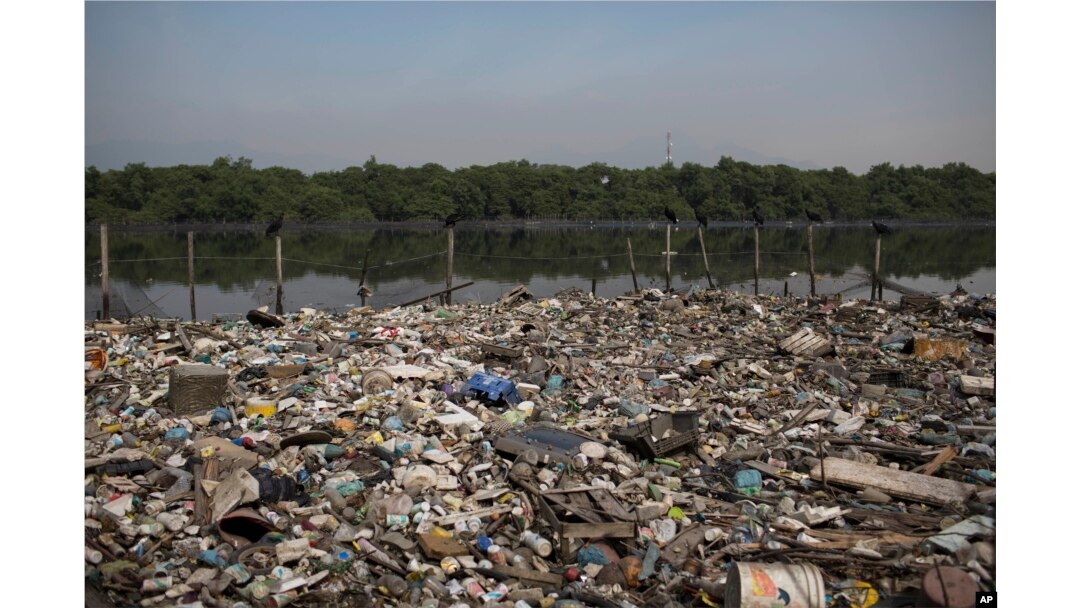 Water Pollution Rio Rio Water Pollution