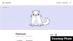 In this screenshot from the CryptoKitties game site, the digital cat "Fleetwood" is profiled. (AxiomZen)