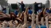 China Destroys 6 Tons of Illegal Ivory
