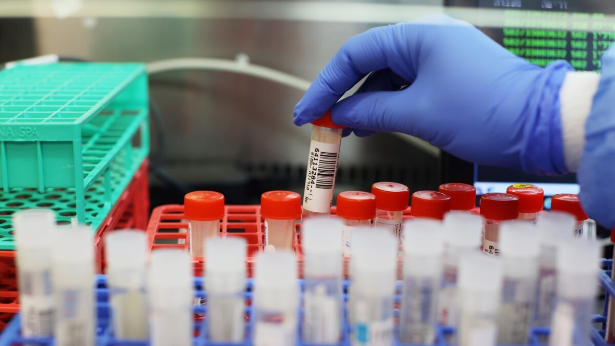 guney afrika da yeni corona varyanti