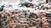 Ghanaians Weigh Costs of Traditional Medicine