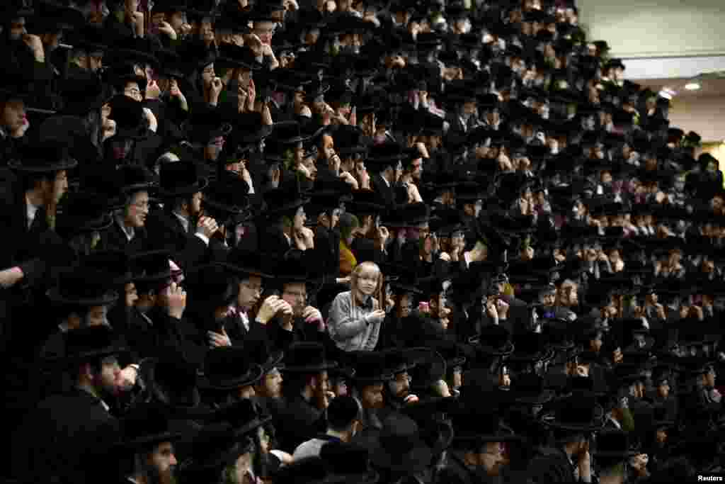 Pria Yahudi Ultra-Orthodox dari dinasti Belz Hasidic menghadiri perayaan Tu Bishvat, hari libur Yahudi di Yerusalem.