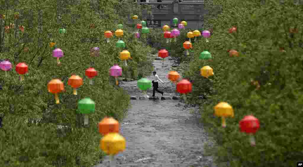 A man crosses a stream near lanterns hanging for celebrations for Buddha&#39;s birthday on May 17, in Seoul, South Korea.