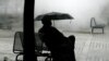 FILE - A homeless man shelters from the rain under a tree outside the Federal Court building in Washington.