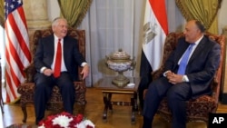 중동을 순방 중인 렉스 틸러슨 미국 국무장관이 12일 이집트 카이로에서 사메 쇼쿠리 이집트 외무장관과 회담했다.