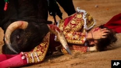 Miles de turistas del mundo entero visitan Pamplona cada año para participar en los ocho días del Festival de San Fermín y en el encierro de los toros.