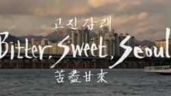 서울의 민낯을 담아낸 영화 '고진감래'