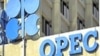 آژانس بین‌المللی انرژی اعلام کرد؛ سهم ایران از تولید نفت اوپک: «۰/۰۹»