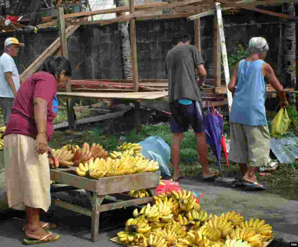A woman inspecting bananas for sale on a Tacloban street, Nov. 21, 2013. (Steve Herman/VOA)