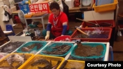 Pedagang ikan di Pasar Jagalchi, Busan, Korea Selatan. (Foto courtesy: Defri Yona).