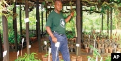 Cameroonian researcher surveys medicinal plants