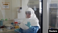 A laboratory specialist examines specimens of the Ebola virus at the Uganda virus research centre in Entebbe, 40km (25 miles) south from capital Kampala May 17, 2011. The rare and deadly Ebola virus has killed a 12-year-old Ugandan girl, and health offici